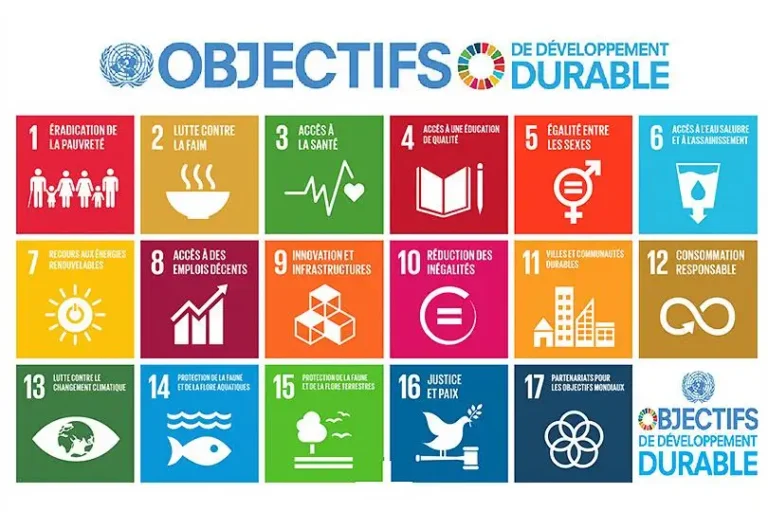 Graphique des Objectifs de Développement Durable de l'ONU, symbolisant la SOSTENIBILITÉ dans le teambuilding et la RSE